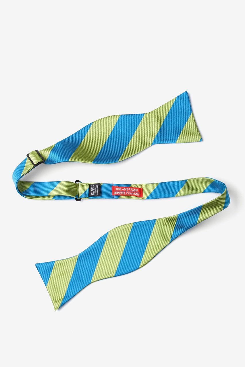Blue & Lime Stripe Self-Tie Bow Tie Photo (1)