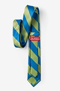 Blue & Lime Stripe Skinny Tie Photo (1)