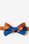 Blue & Orange Stripe Self-Tie Bow Tie Photo (0)