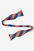 Blue & Orange Stripe Self-Tie Bow Tie Photo (1)
