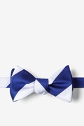 Blue & White Stripe Self-Tie Bow Tie Photo (0)