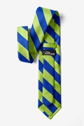 Blue and Lime Green Stripe Extra Long Tie Photo (1)