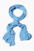 Mens Candy Stripe Blue Scarf Photo (0)