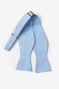 Blue Chamberlain Check Self-Tie Bow Tie Photo (1)