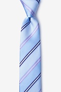 Abbert Blue Skinny Tie Photo (0)