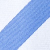 Blue Silk Bandon Skinny Tie