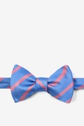 Balboa Blue Stripe Self Tie Bow Tie Photo (0)