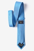 Checked Plaid Blue Skinny Tie Photo (1)