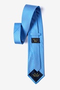 Checked Plaid Blue Tie Photo (1)