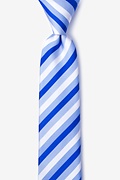 Fergus Blue Skinny Tie Photo (0)