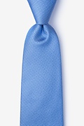Goose Blue Tie Photo (0)