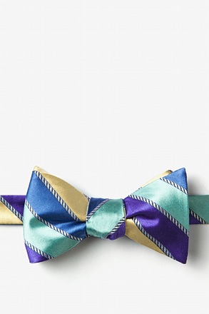 _Know the Ropes Blue Self-Tie Bow Tie_