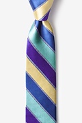Know the Ropes Blue Skinny Tie Photo (0)