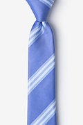 Pioneer Blue Skinny Tie Photo (0)