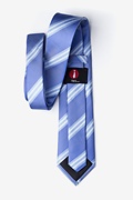 Pioneer Blue Tie Photo (1)