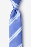 Pioneer Blue Tie Photo (0)