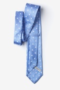 Polka Dot Blue Tie Photo (1)