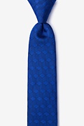 Salt Blue Skinny Tie Photo (0)