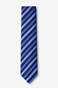 Santiago Blue Skinny Tie Photo (1)