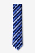 Santiago Blue Skinny Tie Photo (1)