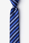 Santiago Blue Skinny Tie Photo (0)