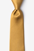 Bright Gold Extra Long Tie Photo (0)