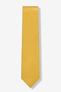 Bright Gold Tie For Boys Photo (1)
