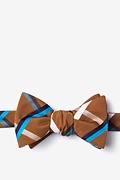 Bellingham Brown Self-Tie Bow Tie Photo (0)