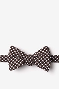 Descanso Brown Self-Tie Bow Tie Photo (0)