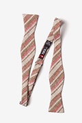 Katy Brown Skinny Bow Tie Photo (1)