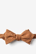 La Mesa Brown Diamond Tip Bow Tie Photo (0)