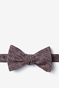 Springfield Brown Self-Tie Bow Tie Photo (0)