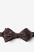 Wilsonville Brown Diamond Tip Bow Tie Photo (0)