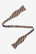 Brown Balboa Stripe