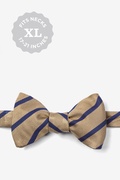 Balboa Brown Stripe Self Tie Bow Tie Photo (0)