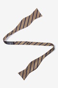Balboa Brown Stripe Self Tie Bow Tie Photo (1)