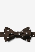 Polka Dot Brown Self-Tie Bow Tie Photo (0)