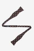 Polka Dot Brown Self-Tie Bow Tie Photo (1)