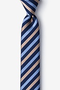 Santiago Brown Skinny Tie Photo (0)