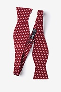 Bandon Burgundy Self-Tie Bow Tie Photo (1)