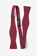 Bandon Burgundy Skinny Bow Tie Photo (1)