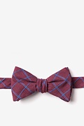 Bisbee Burgundy Self-Tie Bow Tie Photo (0)