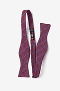 Bisbee Burgundy Skinny Bow Tie Photo (1)