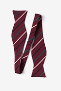 Houston Burgundy Self-Tie Bow Tie Photo (1)