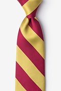 Burgundy & Gold Stripe Extra Long Tie Photo (0)