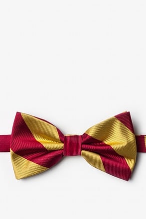 _Burgundy & Gold Stripe Pre-Tied Bow Tie_