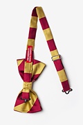 Burgundy & Gold Stripe Pre-Tied Bow Tie Photo (1)