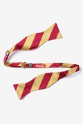 Burgundy & Gold Stripe Self-Tie Bow Tie Photo (1)