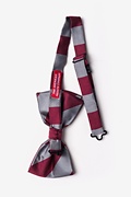 Burgundy & Gray Stripe Pre-Tied Bow Tie Photo (1)