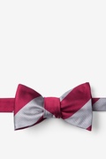 Burgundy & Gray Stripe Self-Tie Bow Tie Photo (0)